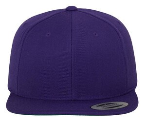 Flexfit F6089M - Snapback Cap