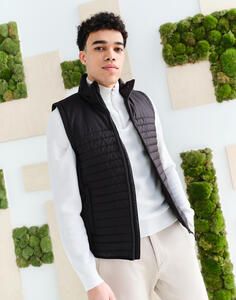 Regatta Honestly Made TRA861 - Honestly Made Recycled Insulated Bodywarmer